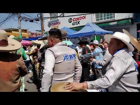 Banda la xclusiva