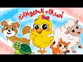 أصدقاء الحيوانات مجموعة من أغاني اللعب مع الحيوانات من قناة ألوان