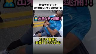 US警察vsタイガーウッズ