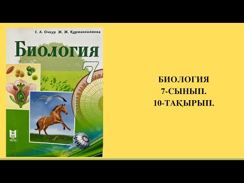 YouTube: Қалың жамбас және үлкен мүше Шабнам порно видео