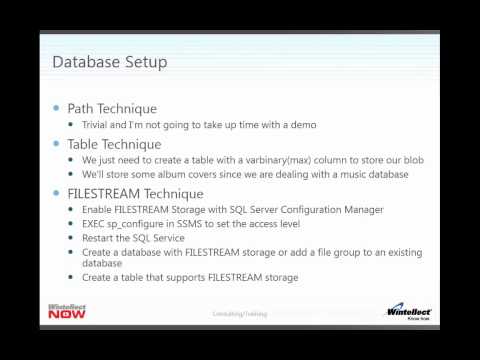 SQL Server and BLOBs Sneak Peek by Mark Dunn