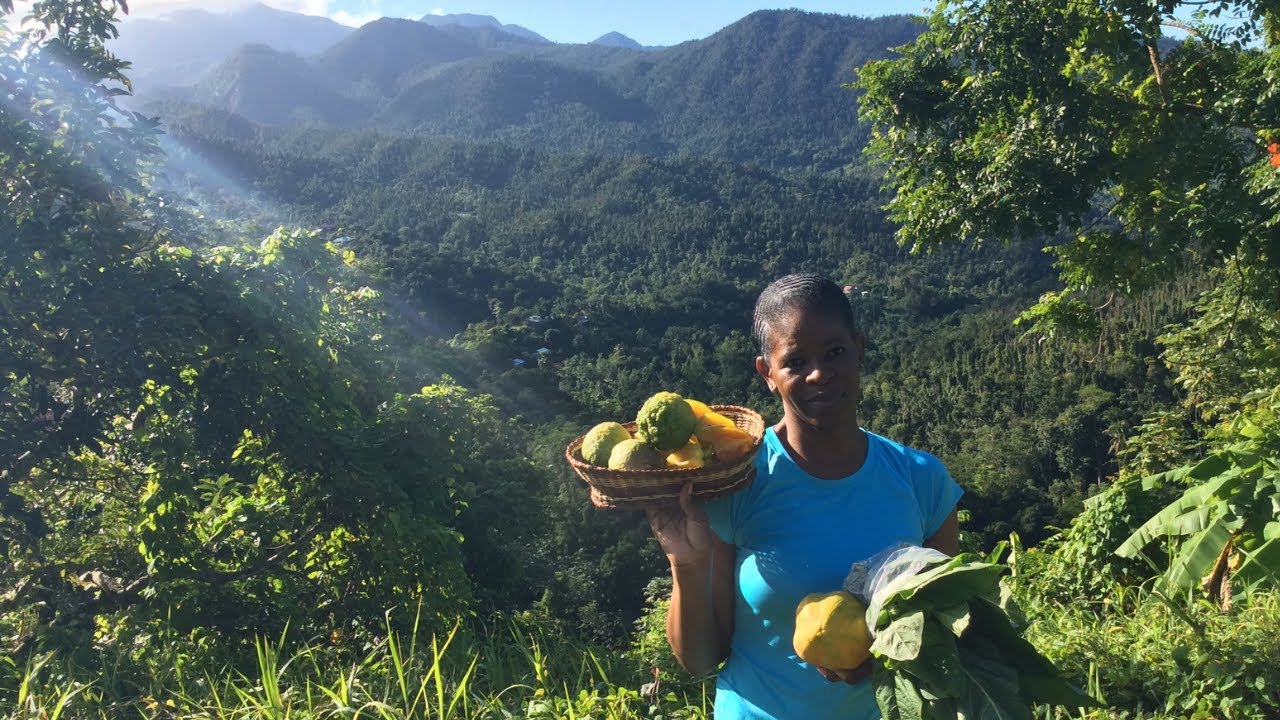 Life in Dominica | Simple Living in Nature | Simply Grethel