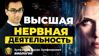 Высшая нервная деятельность