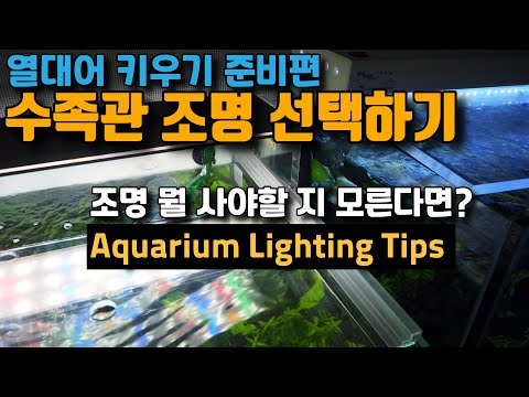 Aquarium light tips/about watt and lumen for aquarium lighting