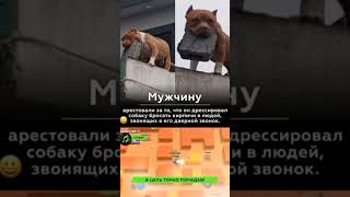 Больше Мемов У Меня На Канале Подпишись! #Мем #Мемы #Юмор #Приколы #Прикол #Shorts #Youtubeshorts