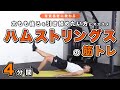 ハムストリングスの筋トレ｜太もも後ろを引き締めたい方にオススメ【4分間】