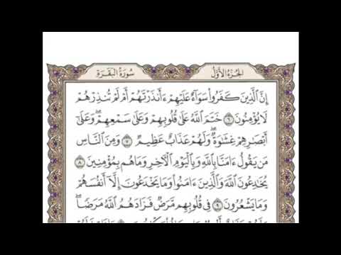 تكرار الوجة الثاني من سورة البقرة كل آية ٣مرات للشيخ وديع اليمني 