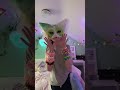 I love this song! #therian #cringe #alterhuman #furry #antizoo #fyp #short #shorts