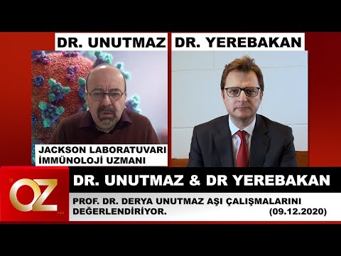 Бейне: Портердің стратегиялары: түрлері, түрлері және мысалдары