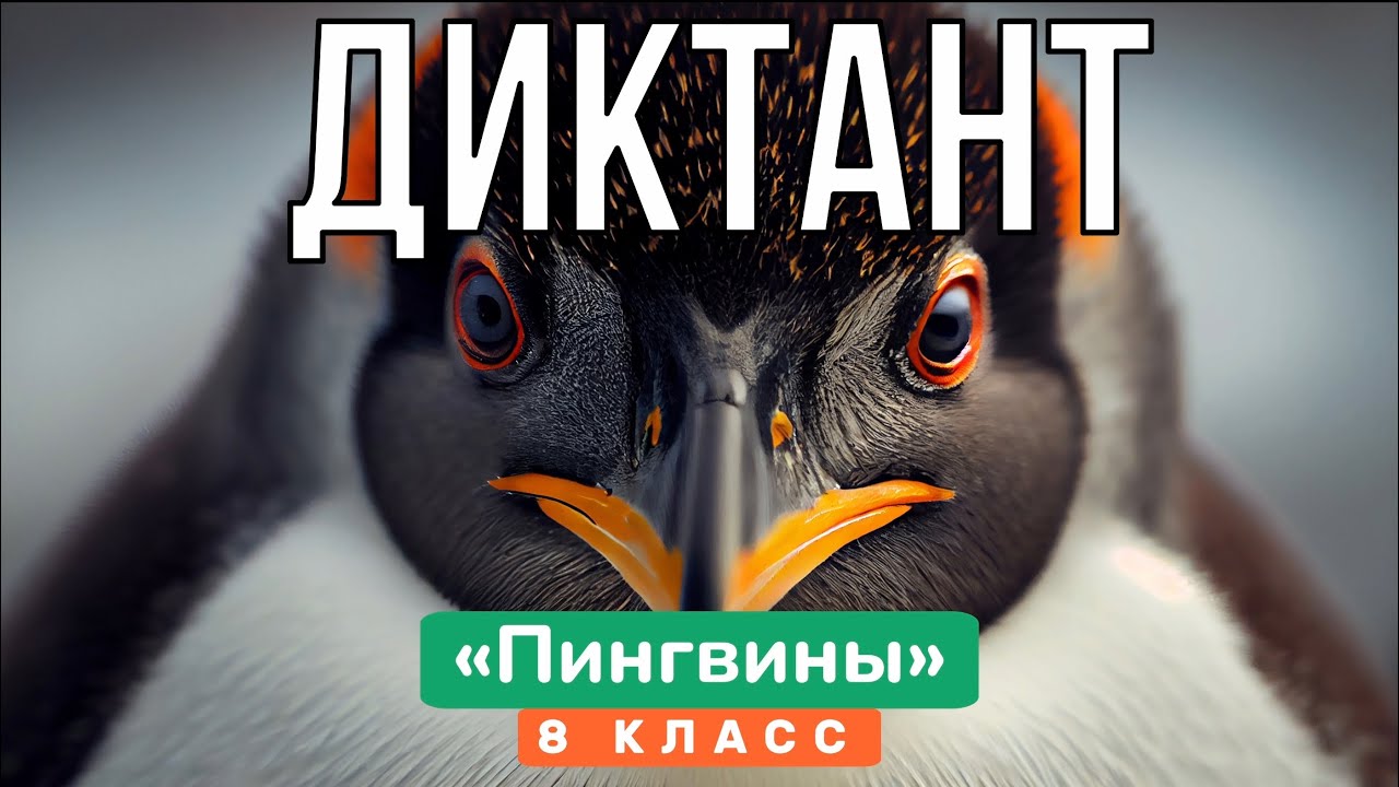 ДИКТАНТ по русскому языку «Пингвины» — 8 класс - YouTube