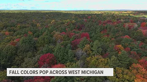 FALL COLOR CHECK-IN | When can we expect peak fall colors in West Michigan?