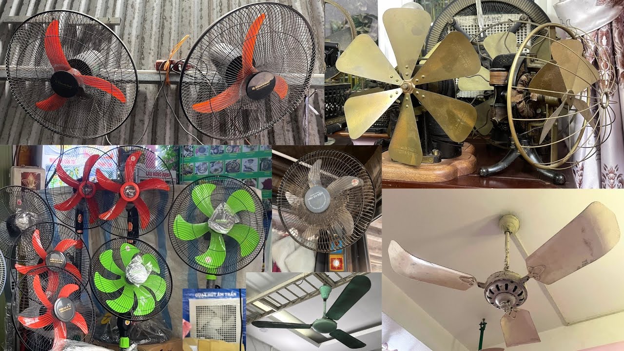 Fan Sightings From Vietnam! | V2