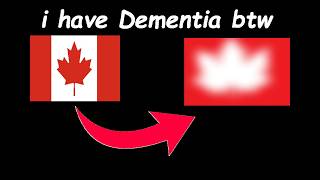 i drew flags from Memory (i have dementia)