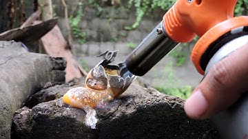 EXPERIMENT GAS TORCH Vs FANTA