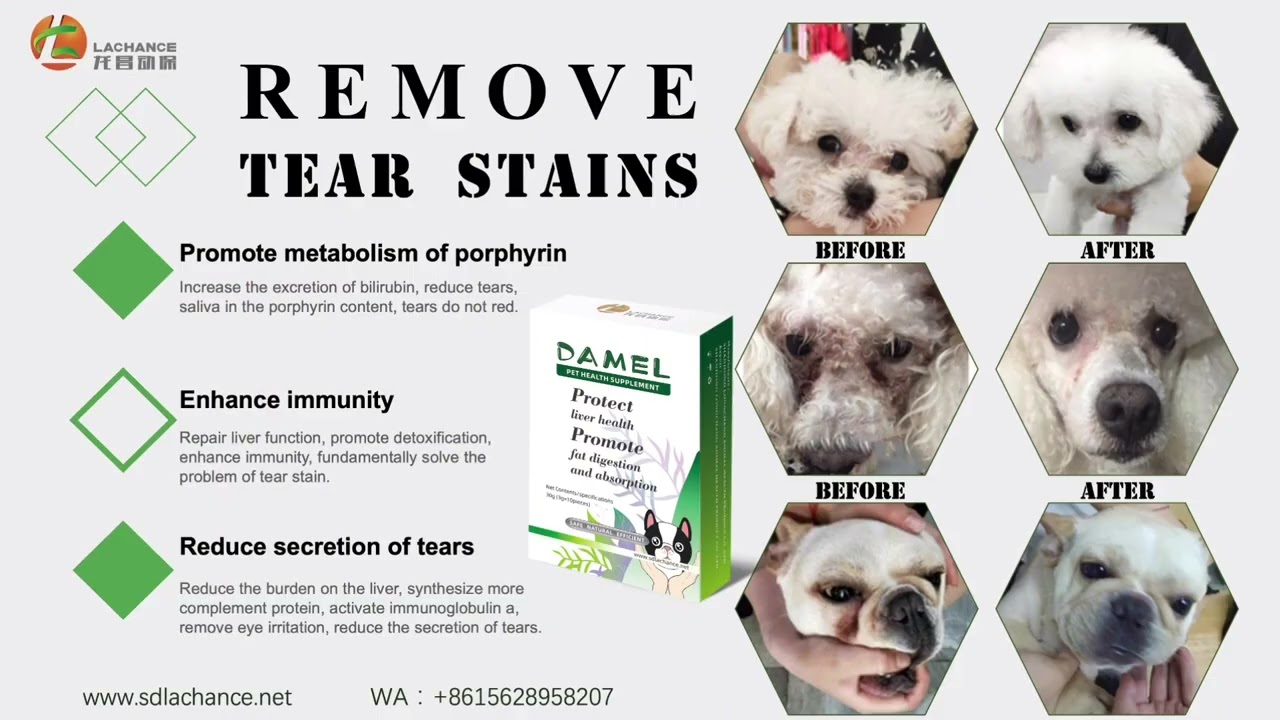 What cause the pets tear stains?
