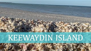 (ASMR) Virtual Beach Walk Keewaydin Island