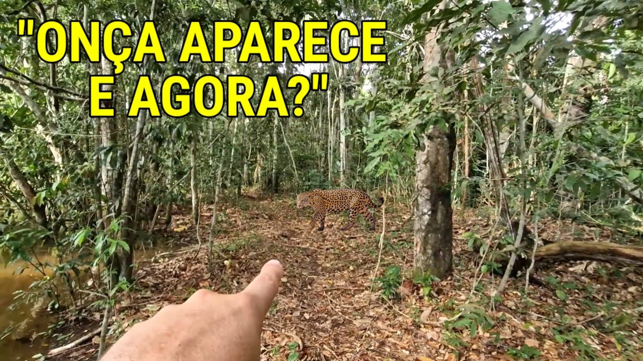 ONÇA CHEGA RAPIDAMENTE! E olha oque aconteceu.