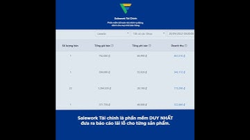 Salework Tài Chính - Báo Cáo Lãi Lỗ Trên Từng Sản Phẩm