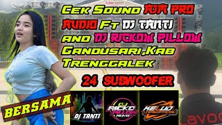 cek sound 24 Subwoofer AJM PRO AUDIO ft DJ TANTI AND DJ RICKO PILLOW REMIX Gandusari kab Trenggalek