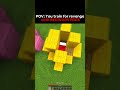 Minecraft revenge