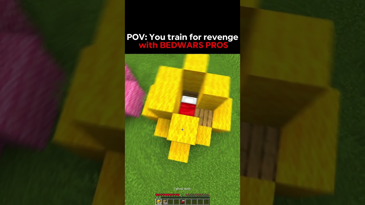 Minecraft revenge