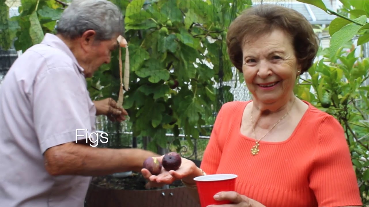 Here's a peek into a New York City garden at the height of summer