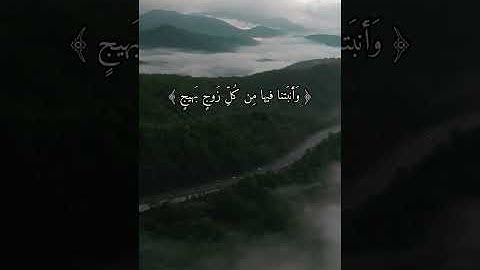 حالات واتس قرآن كريم  | Quran وَالأَرضَ مَدَدناها وَأَلقَينا فيها رَواسِيَ ..