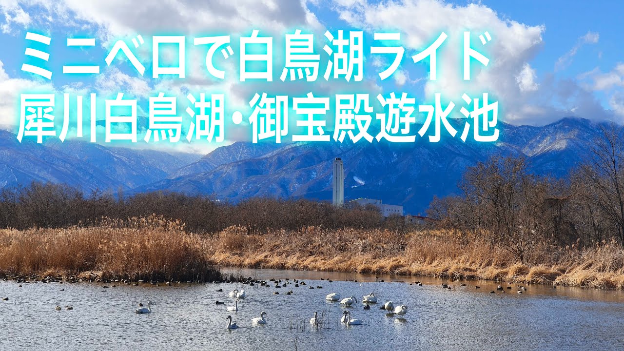 冬晴れの白鳥湖ライド　犀川白鳥湖 ・御宝殿遊水池