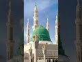 woh mera nabi hai #terding #naatsstatus #viralvideo #wohmeranabihai