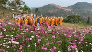 NIKAYA Thiền Quán - Bị Trúng Mũi Tên Độc - Kinh Thiện Tinh (Trung Bộ 105)