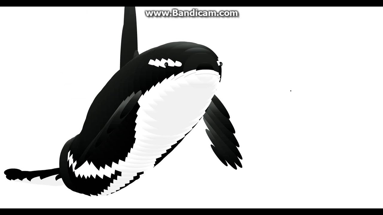 orca mouse follower wiggle youtube