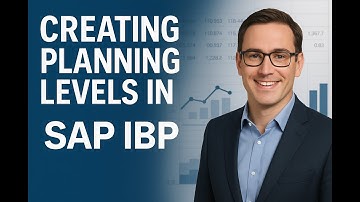 Creating Planning Levels in SAP IBP