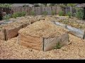 Never Before Seen Footage! Backyard Food Forest Years 1,2 & 3 | How it all Began!