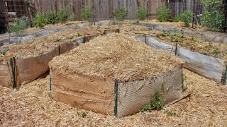 In this video dan from http://www.plantabundance.com shares with you
the early beginnings of backyard food forest project (years 1,2 and 3)
back before h...