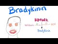 Bradykinin | Let the Drama begin!