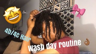 4B/4C Hair Wash and Twistout Tutorial