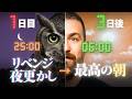 【ルーティン】神経科学者「3日で確実に朝型人間になる方法(快眠ナイトルーティンもアリ)」 アンドリュー・ヒューバーマン/マシュー・ウォーカー
