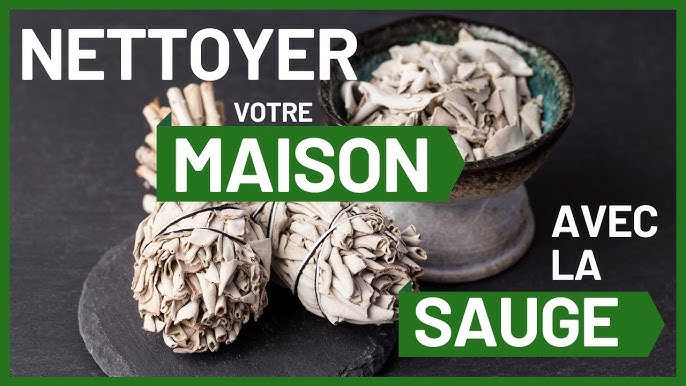 Purification de la maison à la sauge blanche: mythe ou réalité? – Les 3  Fileuses