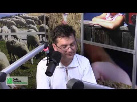 Interviu cu Călin Brăteanu