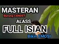 Suara Cendet Alas Gacor Full Isian Bikin Emosi Yang Lain Pasti Ikut Gacor Mp3 - Mp4 Download