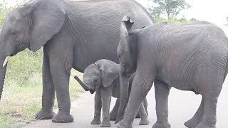 'Subscribe to StoryTrender: http://bit.ly/StoryTrenderSubscribe Wat...