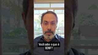 Entendendo O Bdnf Como Manter O Cérebro Jovem E Ativo