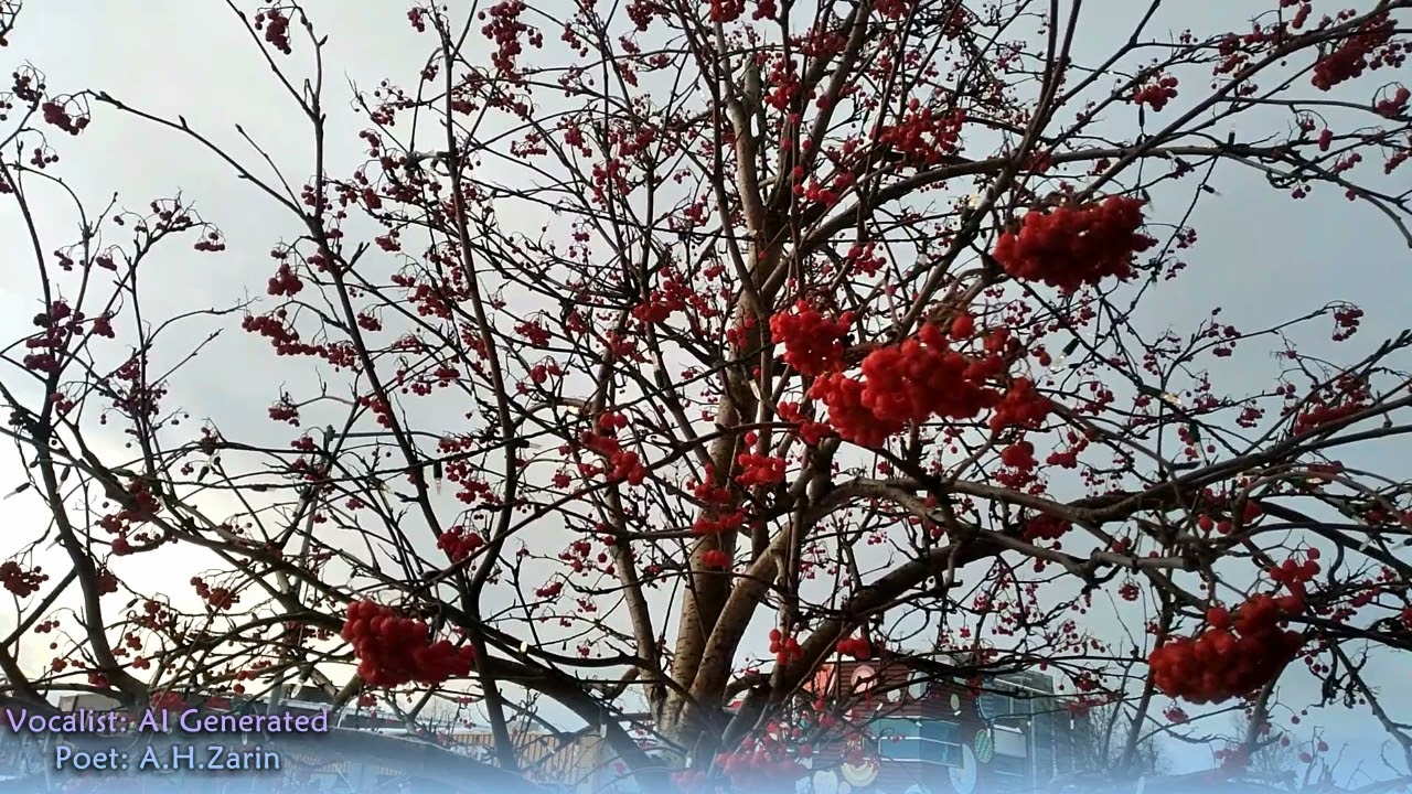 Zama wafa kholos ... [ځــمـــا وفــــا خــــلــــوص]