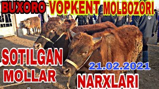 Buxoro Vopkent Molbozoridan Sotilgan Mollar Narxlari Novvos Smental Beliy Galof Angus 21.02.2021
