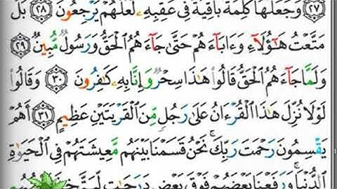 مصحف التجويد صفحة 491 إبراهيم الأخضر 🕋🕋