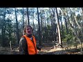 Man gets caught hunting over bait in Florida