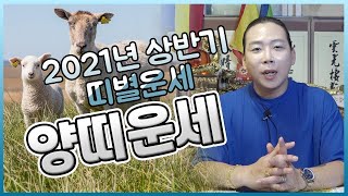 (일산점집) 쪽집게 무당 윤도령이 알려주는 2021년 양띠운세! 나랑 진짜 안 맞는 띠가 너였어?