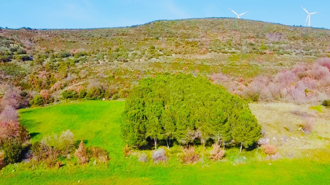 SATILIK 8500 m2 RESMİ YOLA CEPHE TARLA DEMİRELLİ İNŞAAT TEMELDEN ÇATIYA İNŞAAT İŞLERİNİZDE HİZMETİNİ