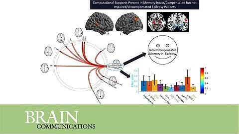 Computational support, not primacy, distinguishes compensatory memory reorganization in epilepsy