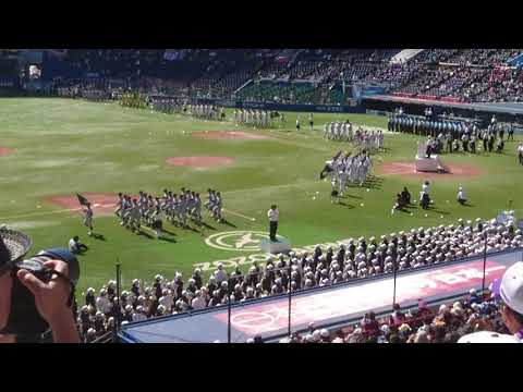 昨年、高校野球千葉県大会開会式